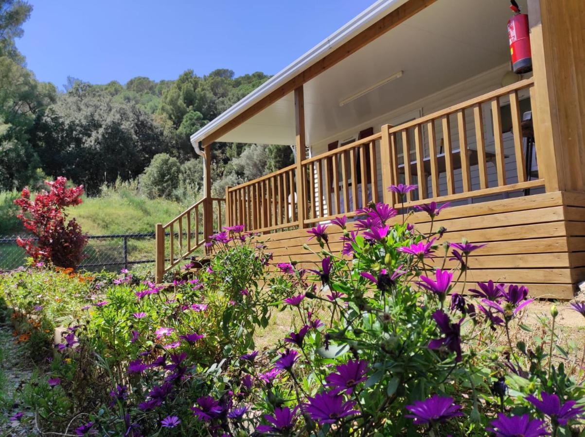 Camping Roca Grossa Calella Eksteriør bilde