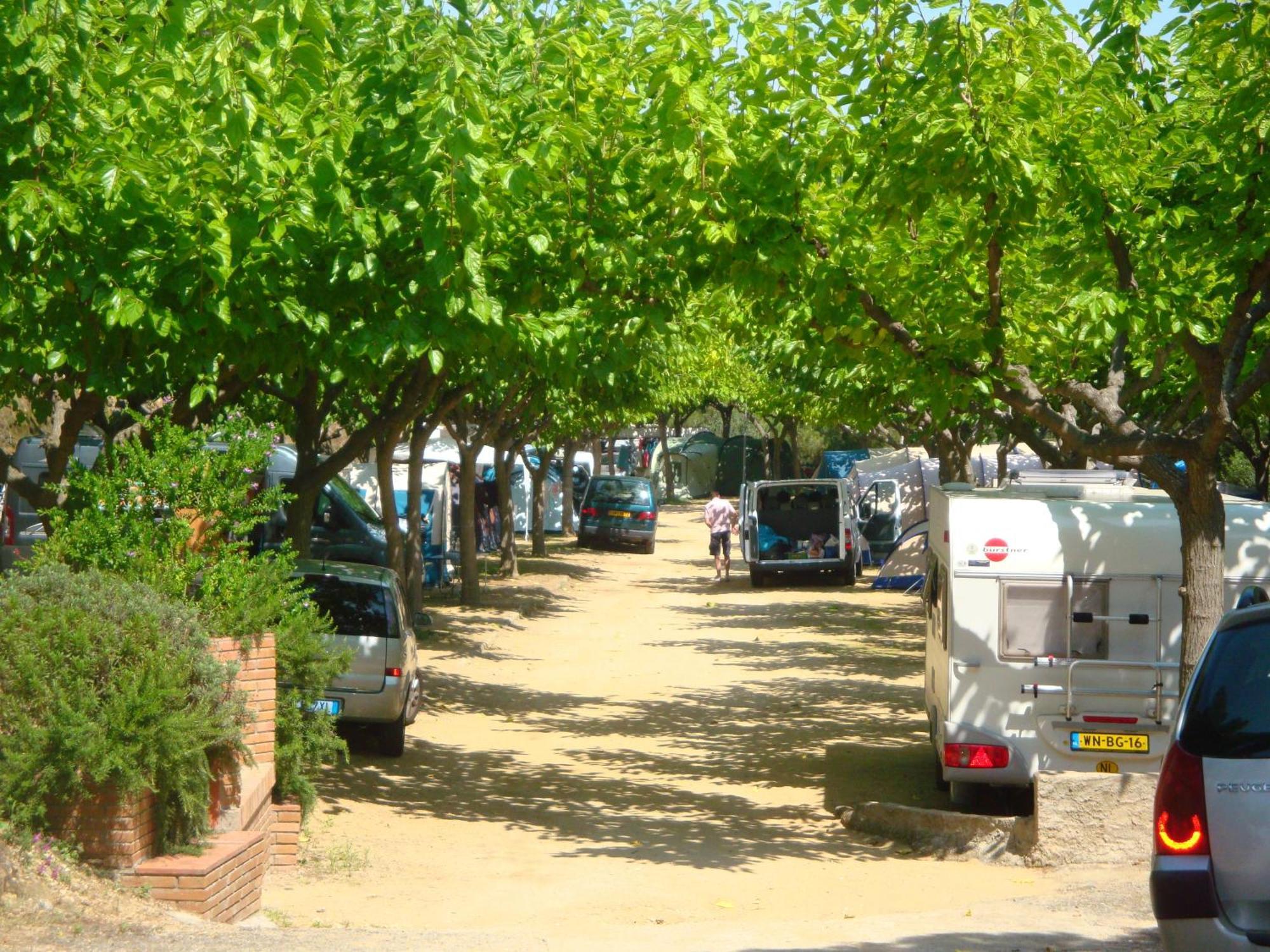 Camping Roca Grossa Calella Eksteriør bilde