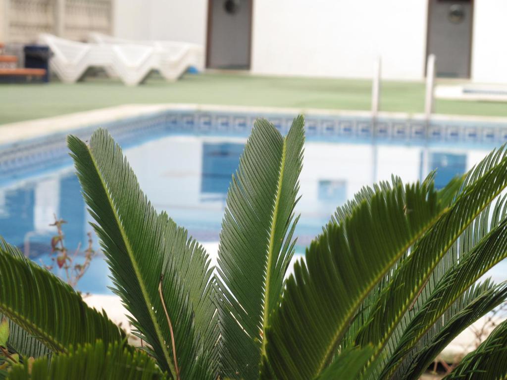 Camping Roca Grossa Calella Eksteriør bilde