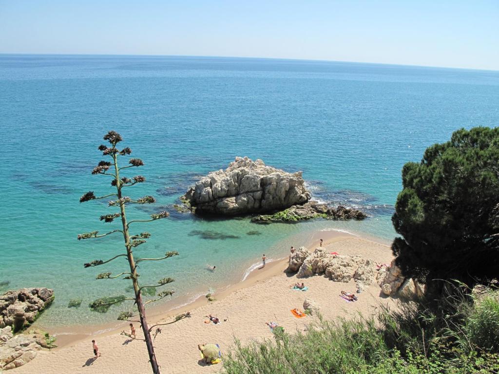 Camping Roca Grossa Calella Eksteriør bilde